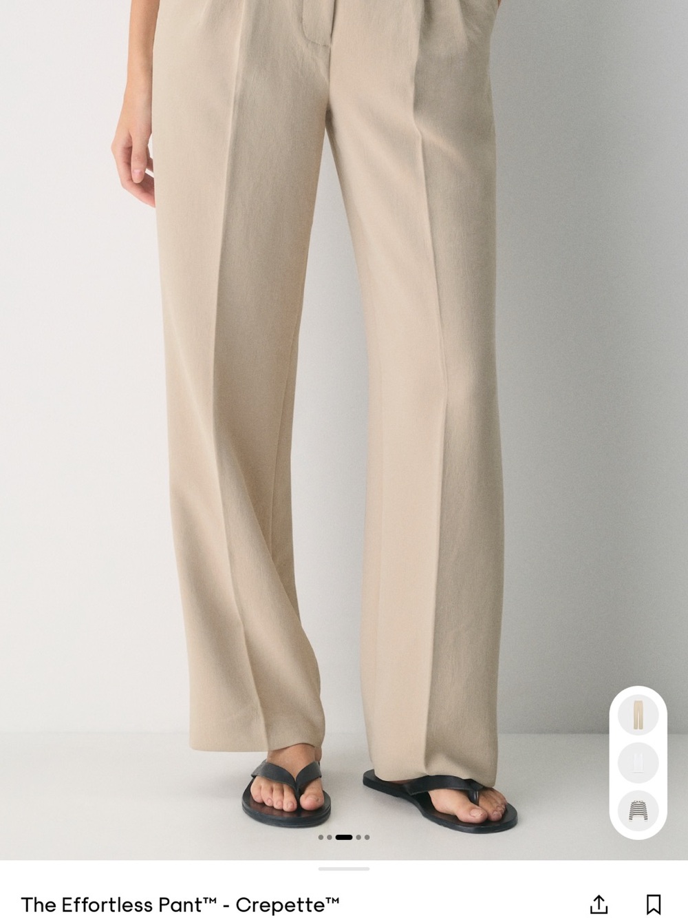 Aritzia High-Rise Wide-Leg Trousers in Beige